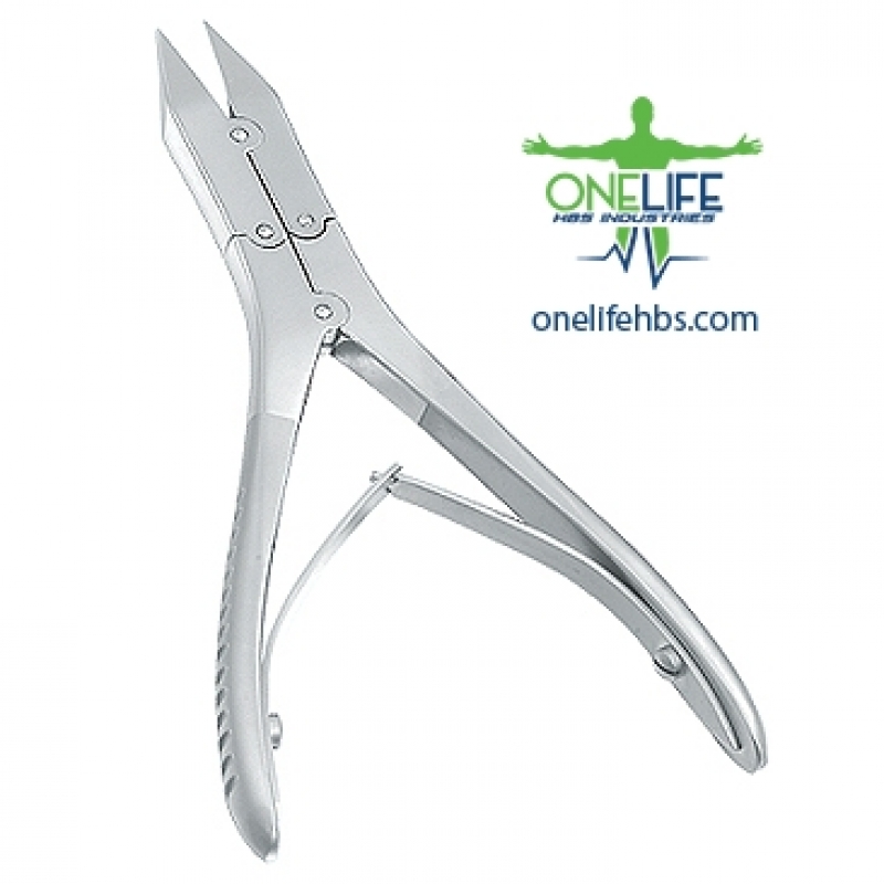 Upper Centrals and Canines